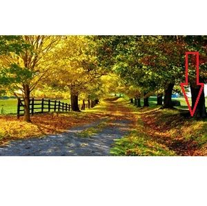 TELECAMERA NASCOSTA IN UNA PIETRA